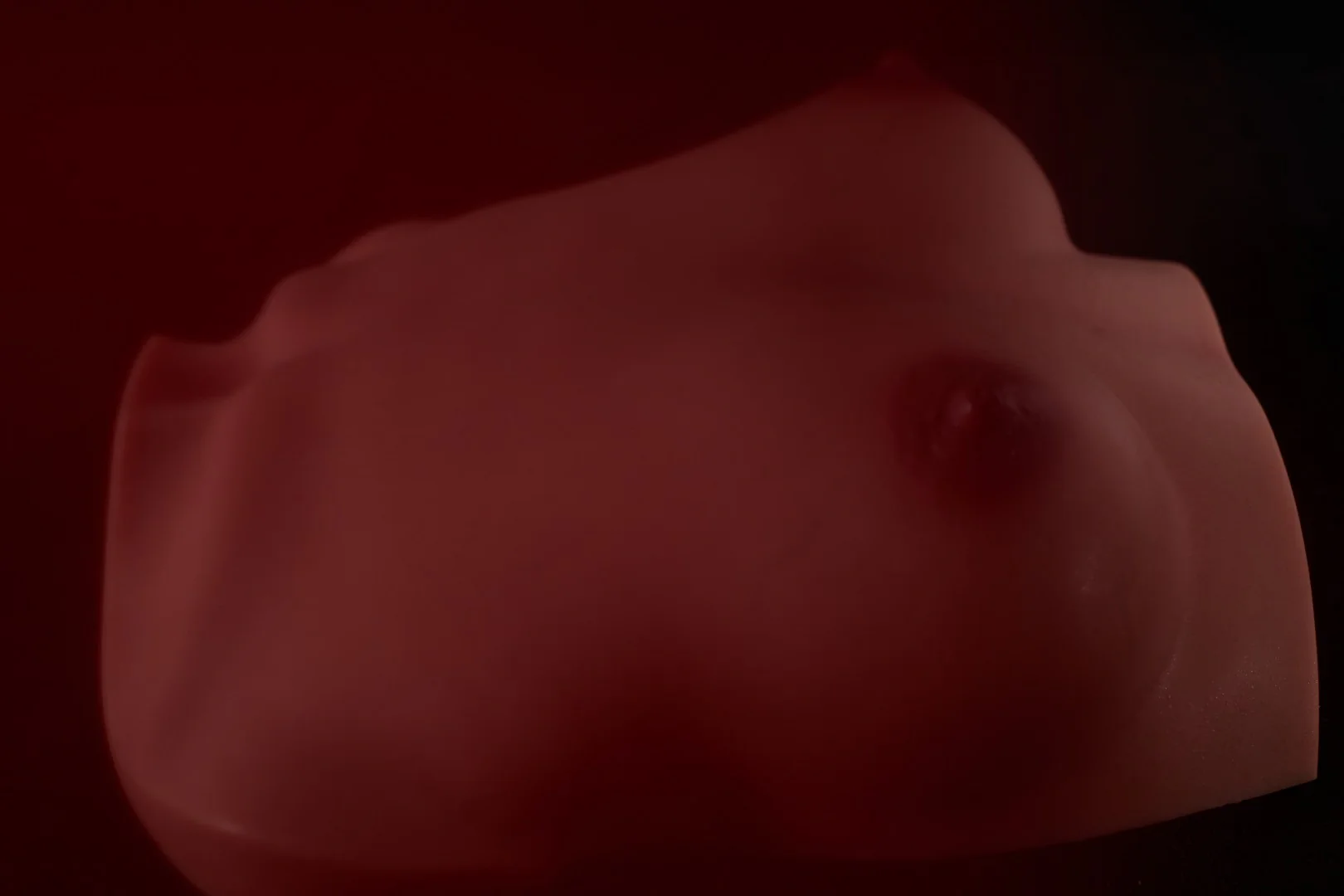 Thumbnail 15