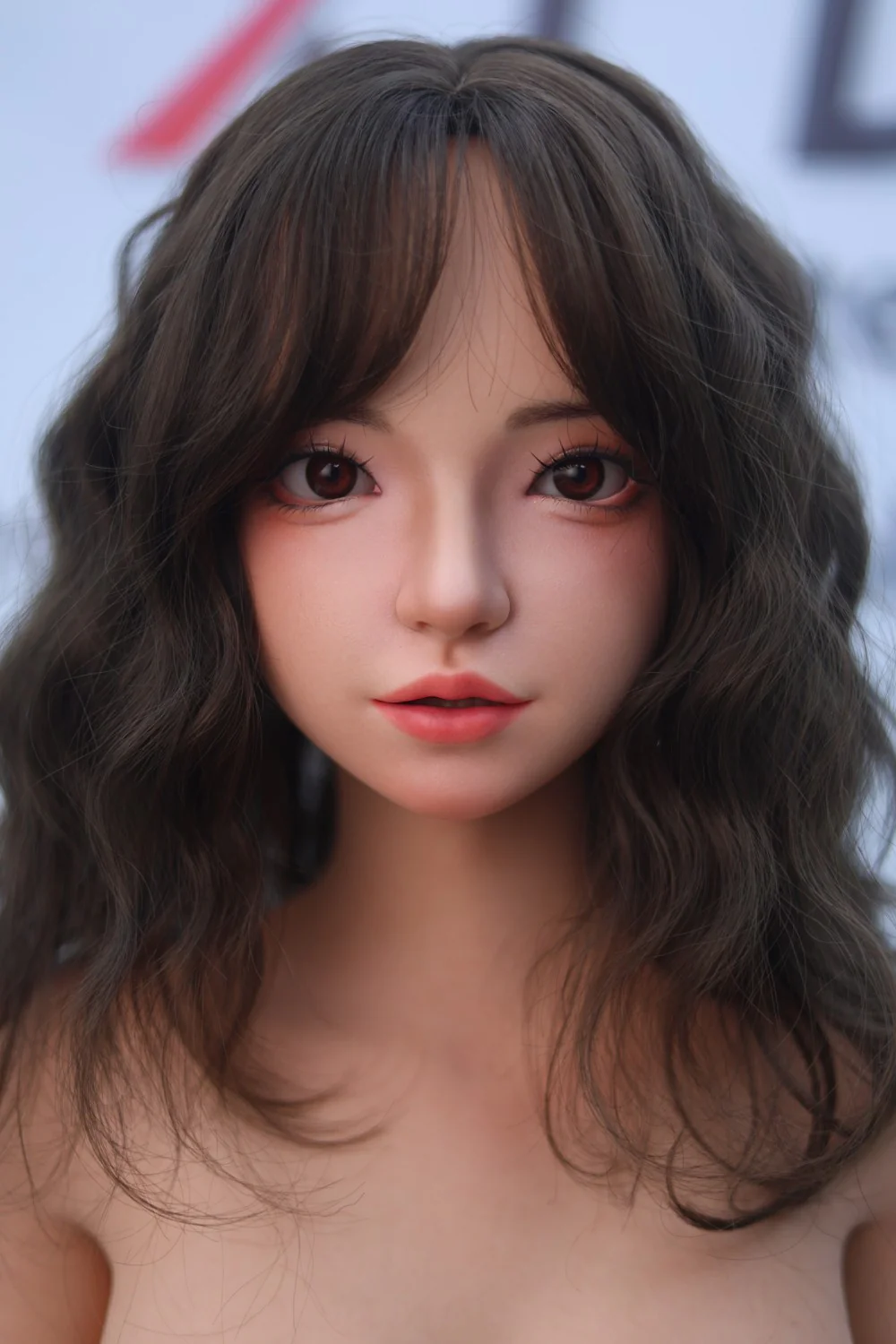 Thumbnail 16