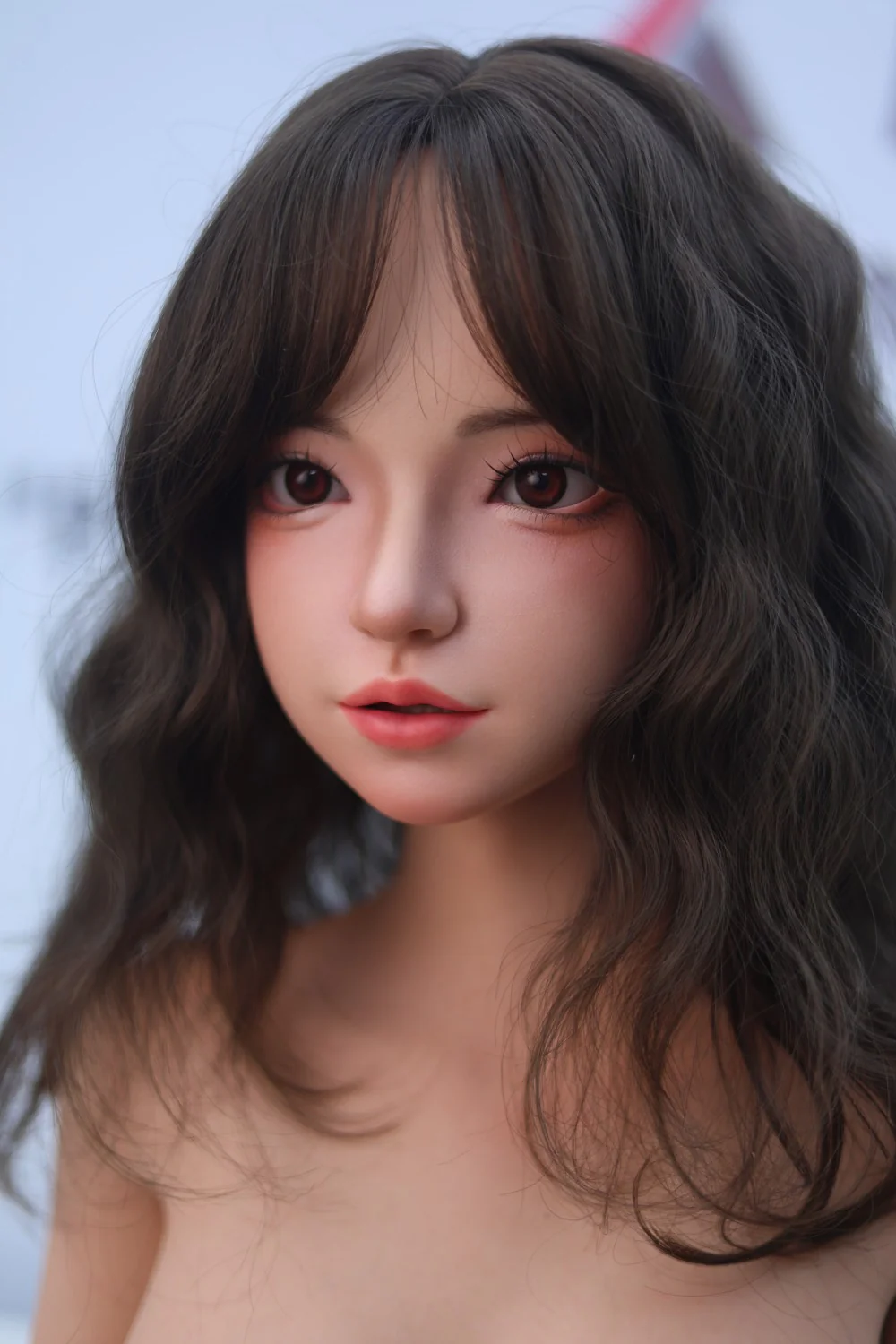 Thumbnail 17