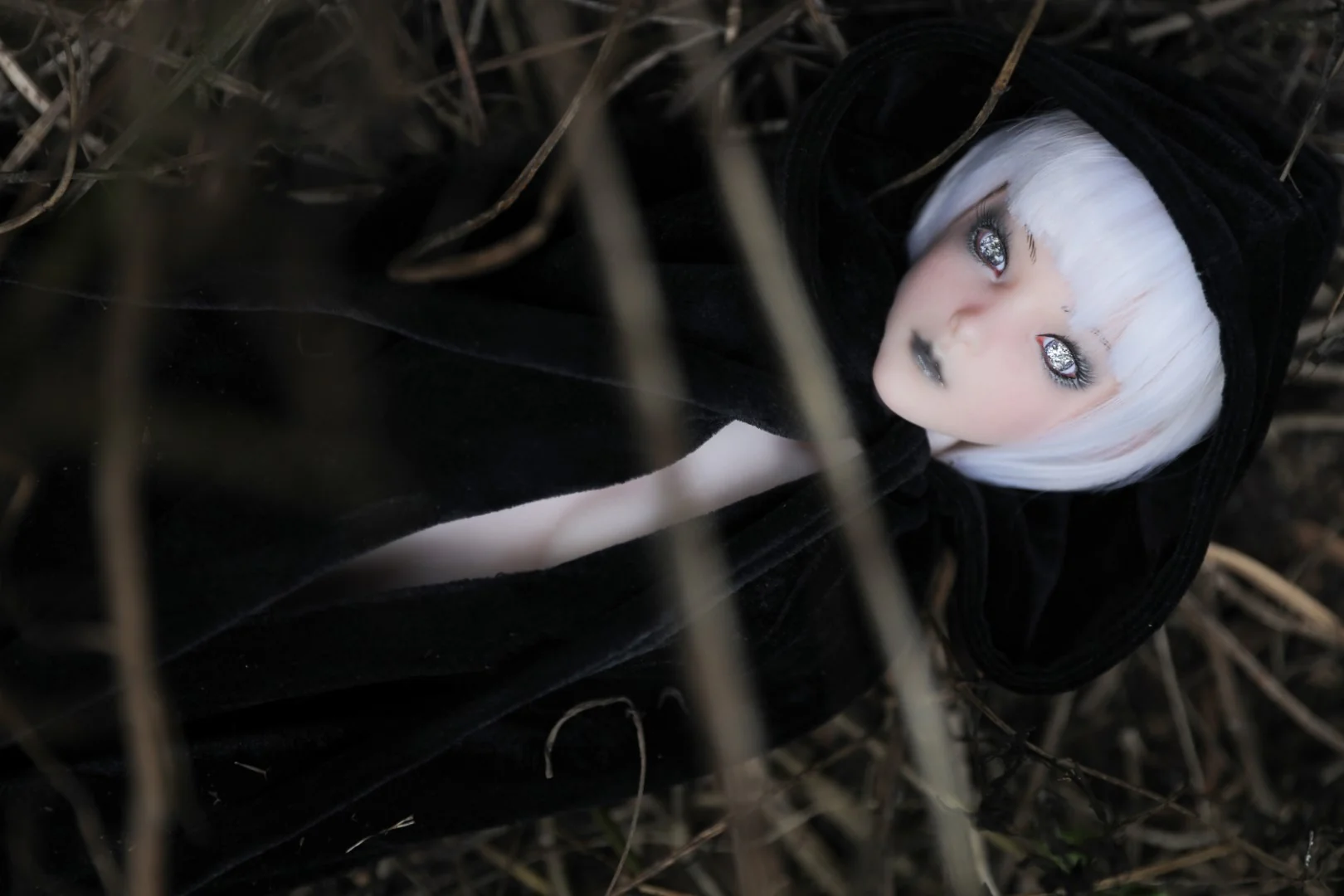 Thumbnail 13