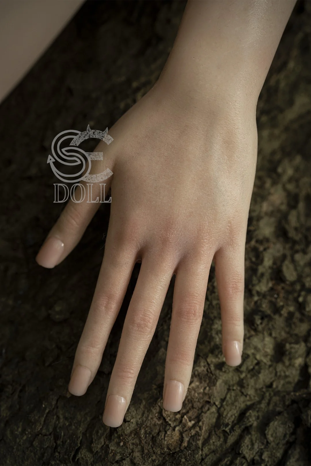 Thumbnail 22
